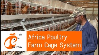 A Type Semi Automatic Battery Chicken Cage For 15000 Layer Poultry Farm