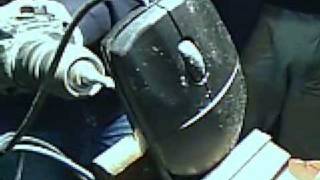 Razer Compeion - Mouse Torture