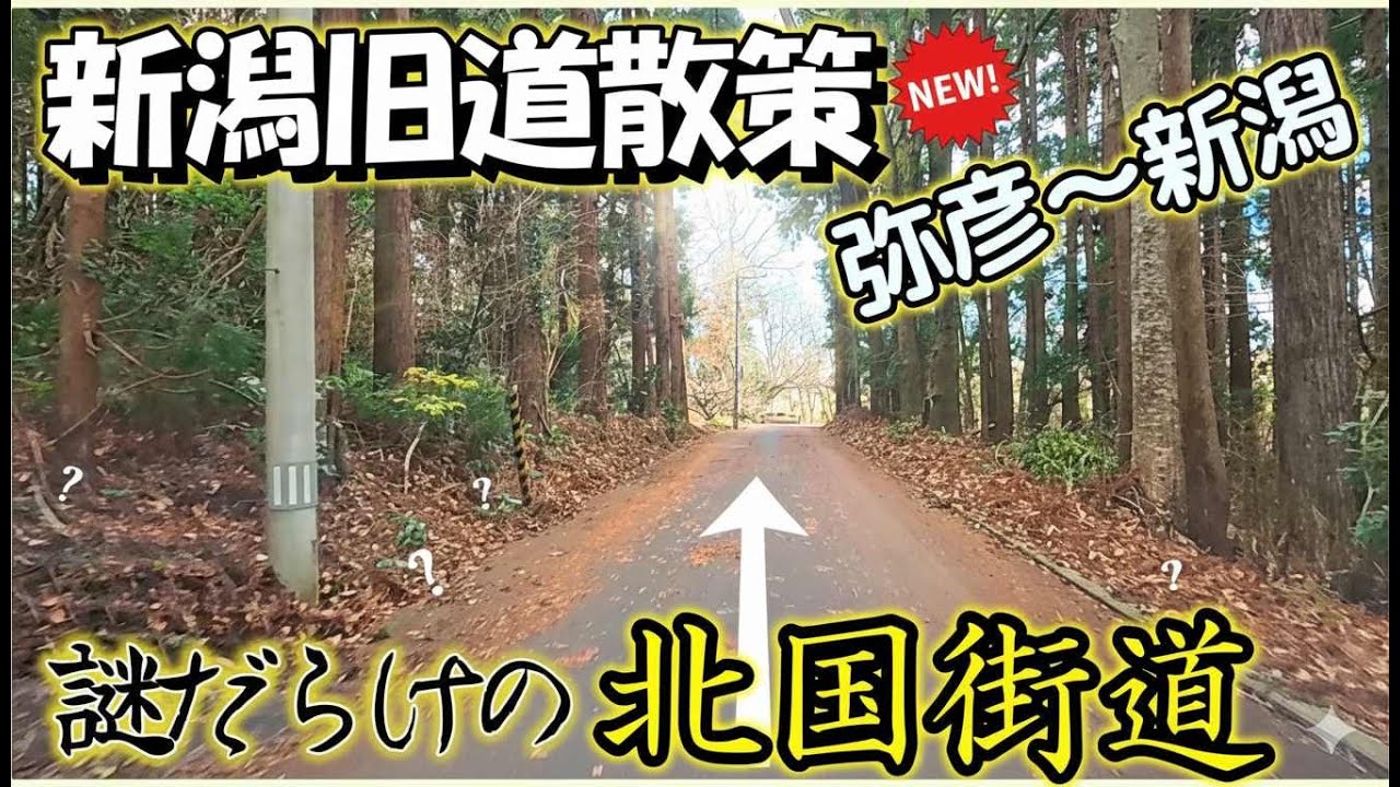 「江戸時代から続く道」謎だらけの北国街道探索！弥彦～新潟まで探検してきました。　　＃新潟　＃弥彦神社　＃北国街道