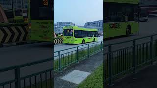 SG3029L on Service 38