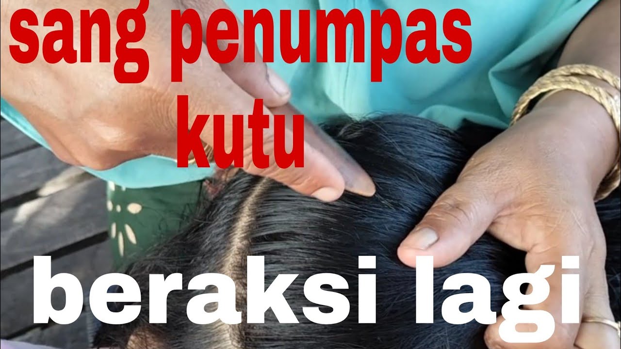 Alat tradisi nenek moyang pembersih kutu