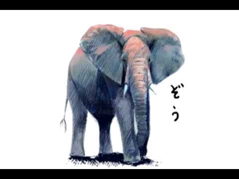 ゾウの絵を描く Drawing An Elephant Youtube