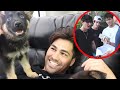 SURPRISING BEST FRIENDS WITH NEW PUPPIES!!