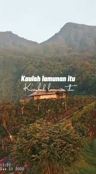 Story wa Ini cinta Noah