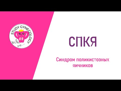 ГИНЕКОЛОГИЯ СПКЯ | Синдром поликистозных яичников - К ЭКЗАМЕНУ