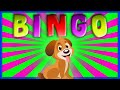 BINGO Dog Song Nursery Rhyme With Lyrics Cartoon Animation Rhymes Songs For Children BINGO Dog Song Nursery Rhyme With Lyrics Cartoon Animation Rhymes Songs For Children