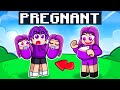 Ruby is pregnant with twins in roblox
