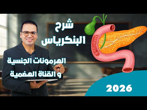 شرح الهرمونات للصف الثالث الثانوى 2026 البنكرياس الهرمونات الجنسية هرمونات القناة الهضمية 