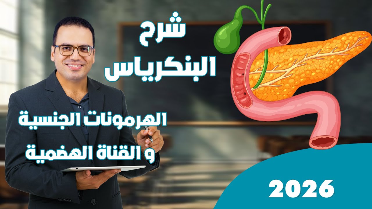 شرح الهرمونات للصف الثالث الثانوى 2026 | البنكرياس | الهرمونات الجنسية | هرمونات القناة الهضمية