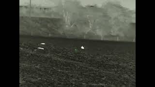 Exploding rabbit with Rico RL42