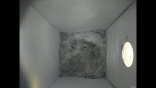 Nestbox 20180920/11:00 - 97 frames with movement