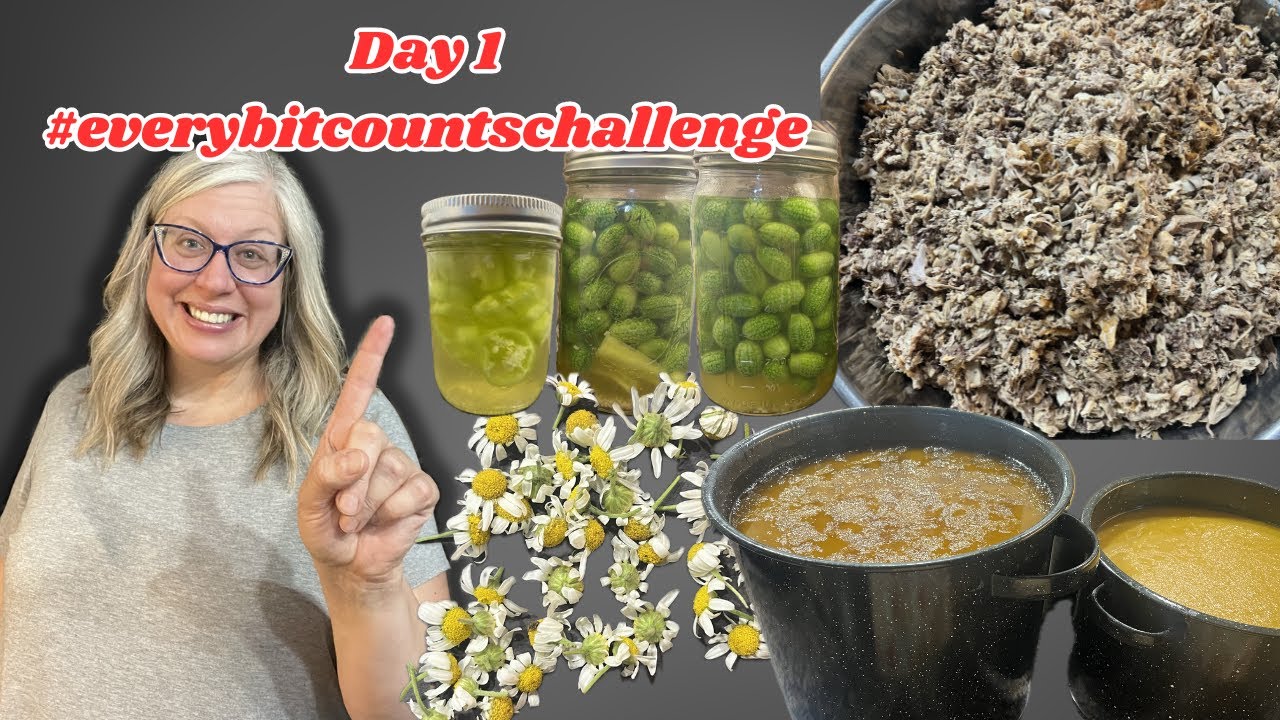 Summer Food Preservation Everyday in August