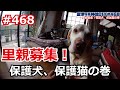 ＃468 里親になって命を救う！保護犬・猫との感動の出会い