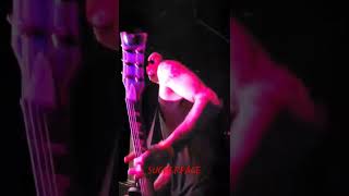 Download Lagu Orgy - SuckerFace (Live) #orgymusic #orgy #creightonemrick MP3