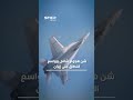 لولا قادة #الإمارات و #السعودية وقطر لدمر# ترامب #إيران اليوم قبل الغد..ما كان سيحدث؟!