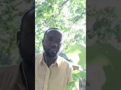 صراع الأندية  النخب السياسية  وادمان الفشل رؤية بمنظور تاريخي