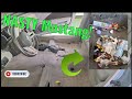 Moldy &amp; TRASHED Mustang Gets GUTTED And Cleaned!