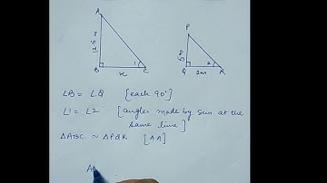 Case Study based Question on Scale Factor Similarity of Triangles Chapter 6 NCERT Grade X