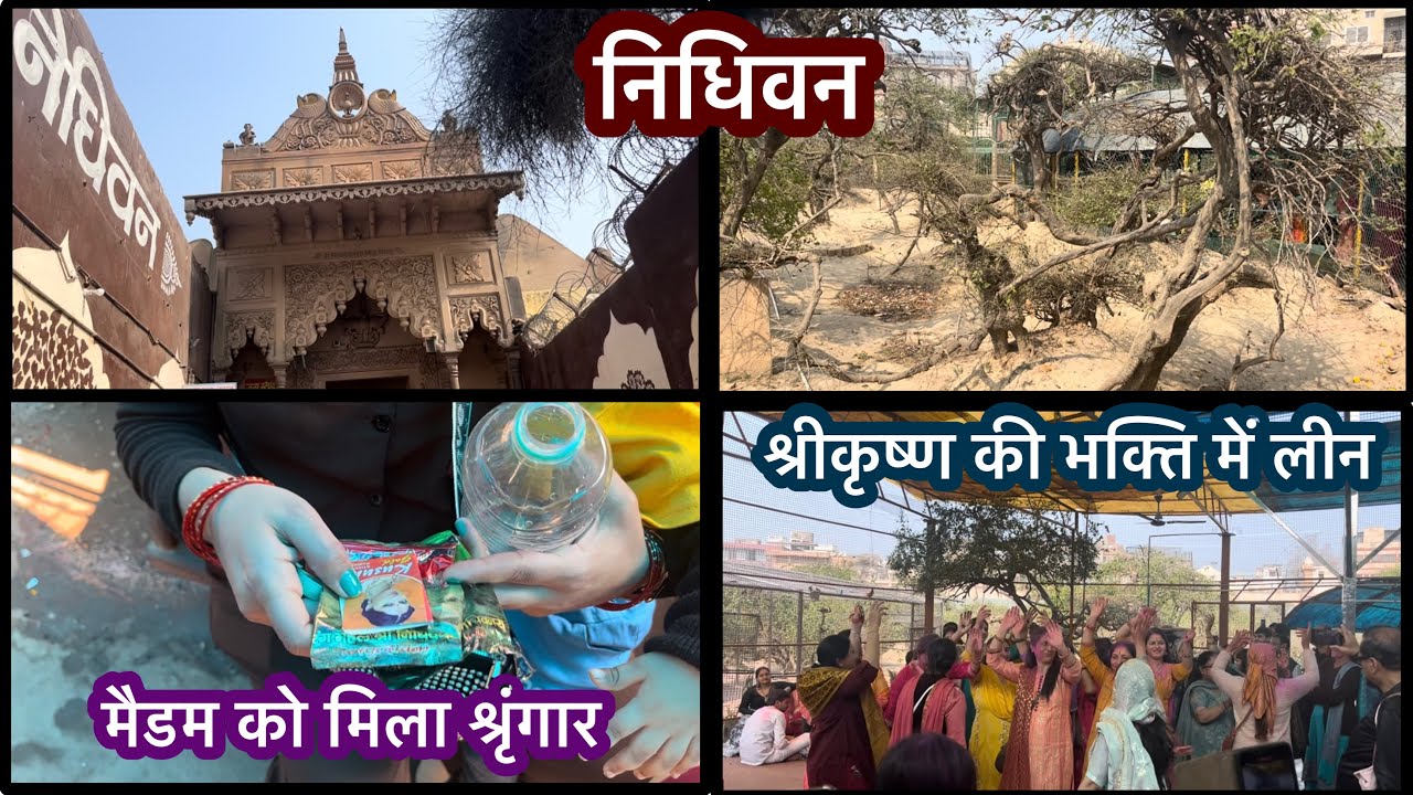 🛕 निधिवन दर्शन ❤️ श्रीकृष्ण की भक्ति में लीन #nidhivan #vrindavandham