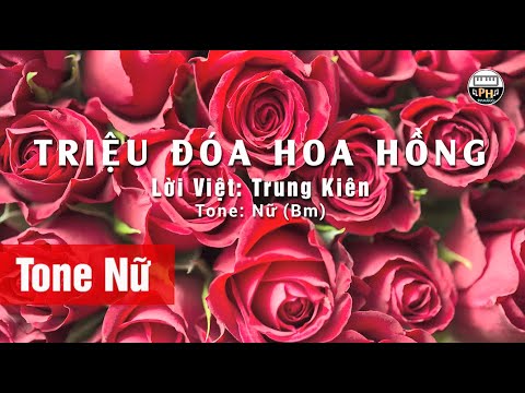 Triệu Đóa Hoa Hồng 