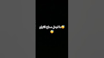 سوره النبأ #اكسبلور #لايك #اكلتك