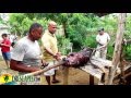 Cabrera Dominican Republic Pig Roast Party - Expat Lifestyle