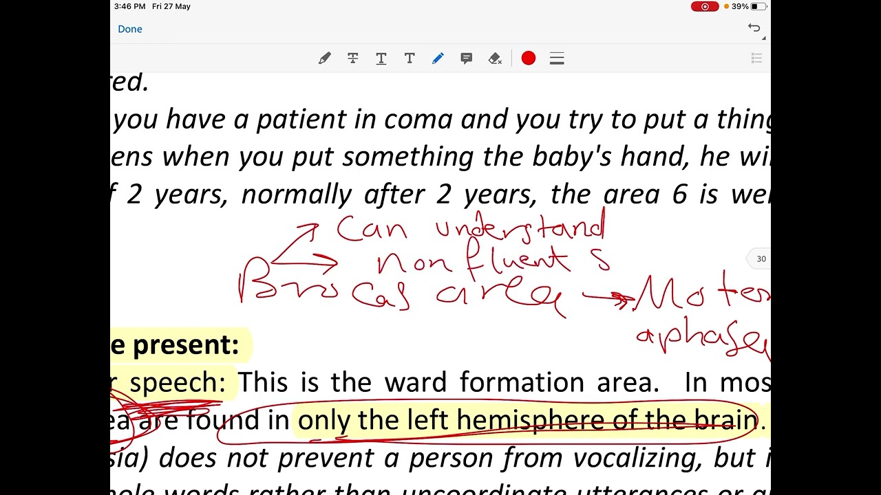 Pyramidal system 4 (motor system) physiology