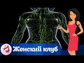 Лимфатическая система: строение, органы, схема, болезни