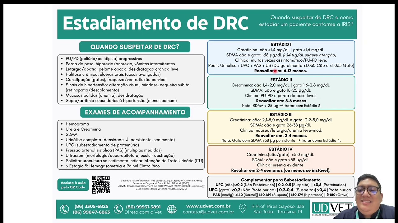 Doença Renal Crônica (DRC) em Cães e Gatos | Estadiamento IRIS e Interpretação Clínica | UDVet