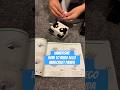Immersive | How to build LEGO Minecraft The Panda Haven 21245 #shorts #lego #minecraft #panda