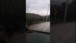 Hakkı Bulut Böylemi Olur
