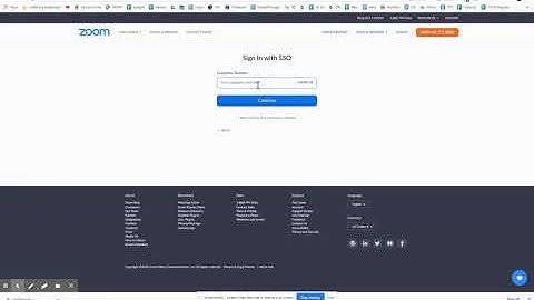 Zoom SSO