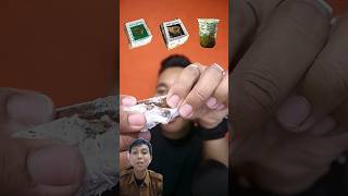 mochi rasa pandan #mukbanginternational #food #kuliner