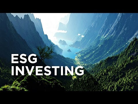 What is ESG Investing?