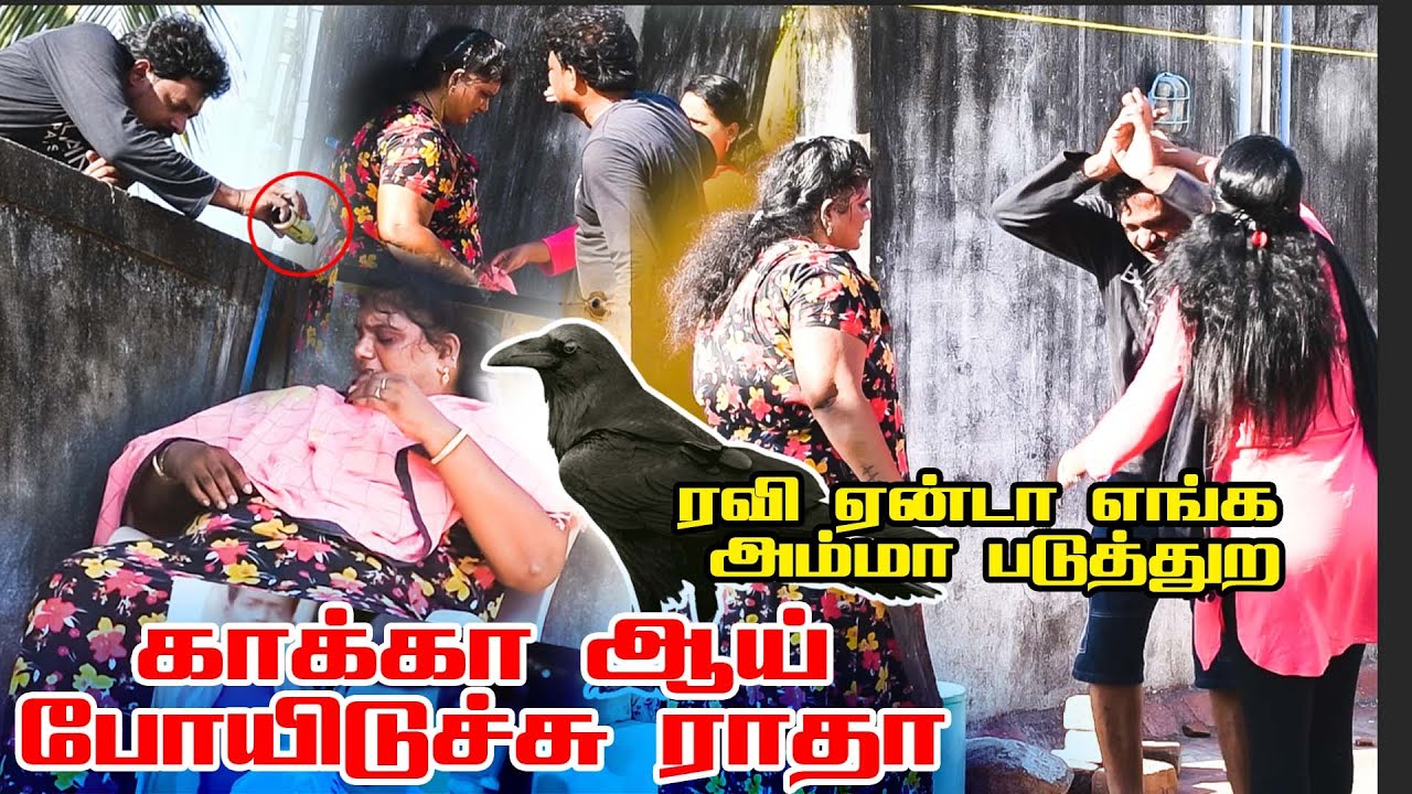 காக்கா ஆய் போயிடுச்சு ராதா #prankraviraj #raviraj #comedy #radharavi #couple #ipl2024