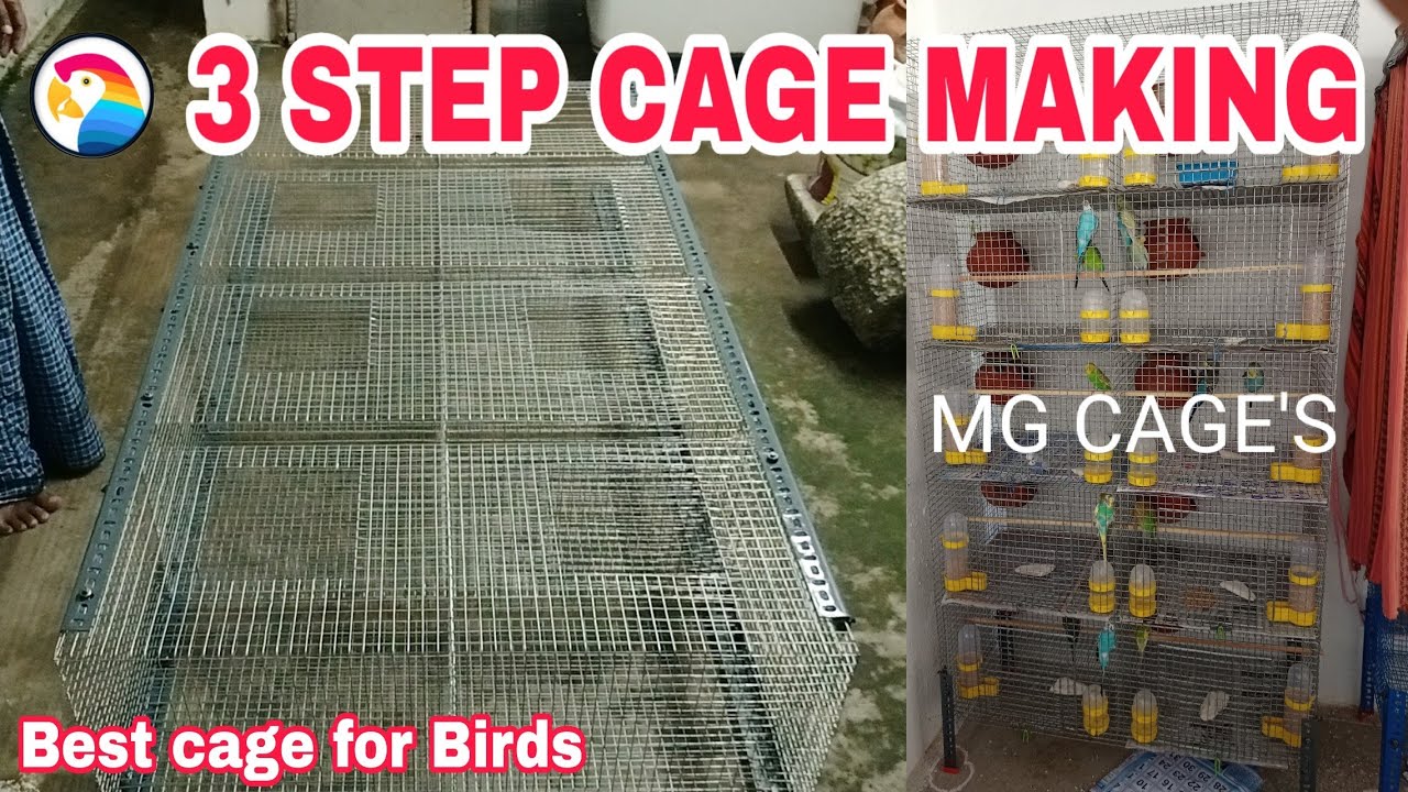 Birds Cage Making in 