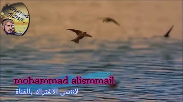 سورة الكهف |للقارئ الشيخ رعد الكردي مع صوت المطر|حالات واتس اب