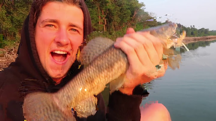 48 HOURS Living with an Isolated Amazon Tribe