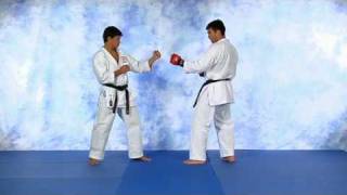 Machida lead front kick.avi
