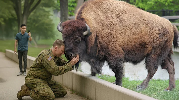 20 Times When Animals Reunited With Owners After Years Make You Cry in a Special Way #10