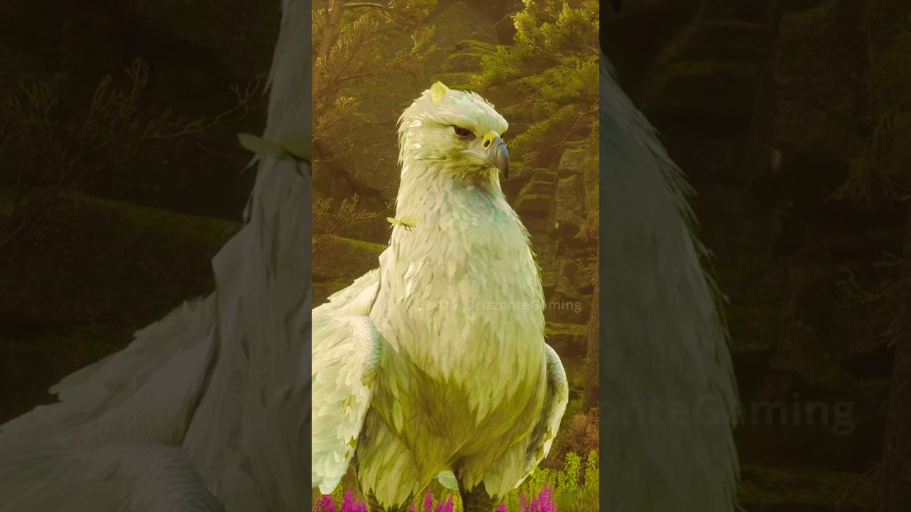 HOGWARTS LEGACY : Please meet Highwing!     #hogwartslegacy #shorts #harrypotter