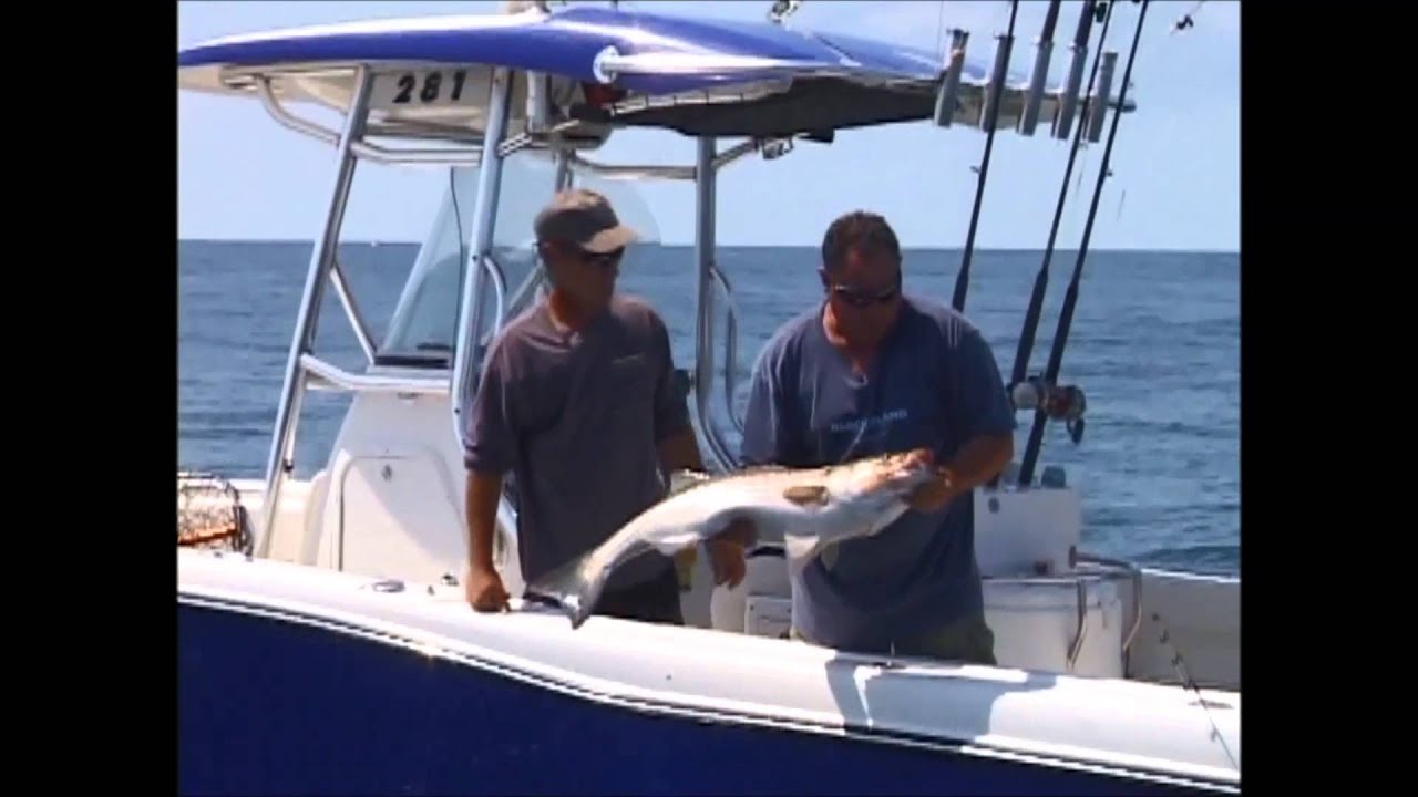 Striped Bass Fishing Montauk, NY Wireline Chunking YouTube