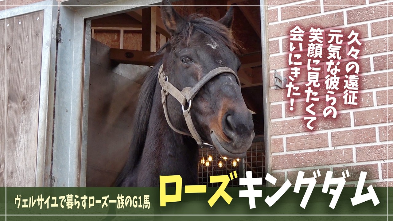 【ローズキングダム】薔薇一族の彼も「ウマ娘」化決定！より多くのファンに愛される引退馬