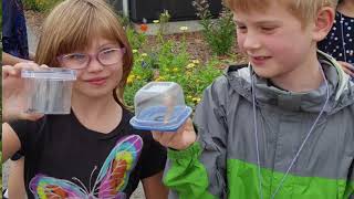 Arboretum Summer Day Camps