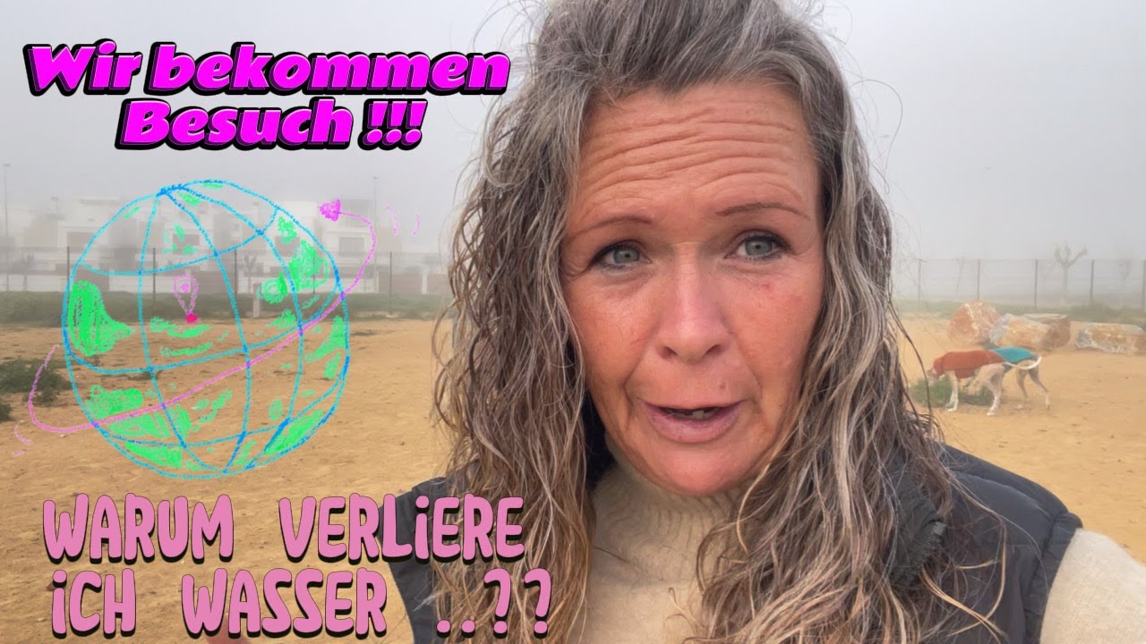 Ich lebe und reise mit meinen drei Hunden im Wohnmobil 🚐❤️🇪🇸#lebenimwohnmobil #vlog #hunde