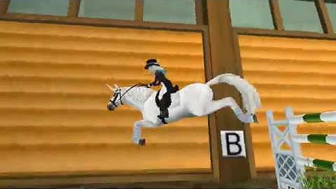 In The Name Of Love~ SSO music Video