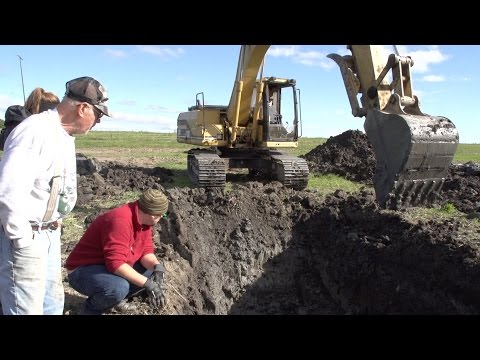 Mammoth Excavation Near Chelsea, Michigan