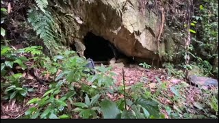 Solo Bushcraft Camping I Built A Cave With Bamboo Fence, Survival Shelter. Primitive Cooking - Asmr
