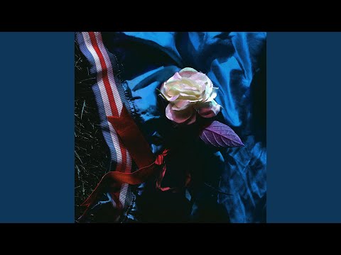 Gleemer - Gauze