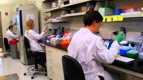 Behind the Scenes: Virtual Microscopy at our Research Institute